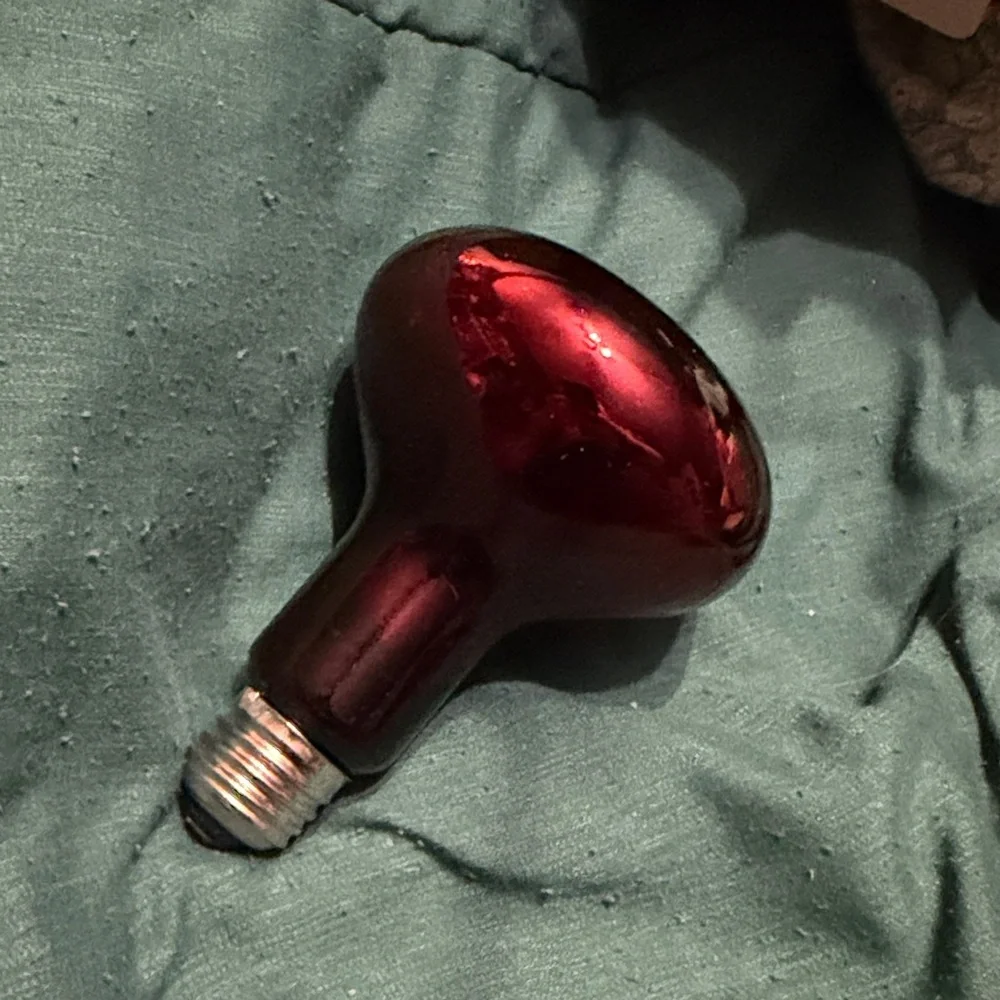 🖤Thrive 150 Watt Reptile Infrared Heating Bulb🖤